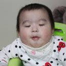 몽스헤어 네이버블로그
