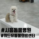 24시 위드유 동물의료센터 이미지