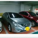 제니스스팀세차 이미지