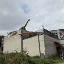 안경진정성 헤이리마을점 | [경기 파주] 공룡 좋아하는 아이와 실내 가볼만한 곳 헤이리마을 파주공룡박물관 위치 시간 요금 주차 정보