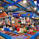 솔밭공원1 이미지