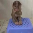 동권 | 갑차기스러운데 개강 취소해도 될까?