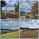 제주 항파두리 항몽 유적 | 제주 항파두리 항몽 유적