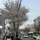 이마트24 중곡아차산점 | 중곡 윤슬 삼촌카세 후기 우연히 들어갔는데 맛집이였다 (feat.군자 벚꽃 맛집)