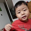 제이볼스낵
