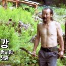 밀림