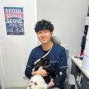 웜메디컬 | 고양이피부딱지,아이와 보호자에게 전염될 수 있습니다.(Top메디컬 응급의학과 출신 수의사)