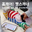 닥터표 동물병원 | 닥터아몬드 P3 펫스캐너로 강아지체온·강아지심장 실시간 체크 첫사용 후기