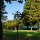 자유공원 게이트볼장 이미지