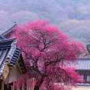 은상목장 이미지