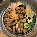 오션스타 휴양콘도미니엄 | 애견동반여행 | 제주도 여행기(1일차 실버클라우드호, 오션스타콘도, 돌담애 후기)