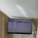 민락동물병원 | [내돈내산] 성묘 고양이 종합백신 접종 and 고양이 알러지 소염제 / 의정부 24시해든동물의료센터 민락점