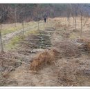 돌배농원 이미지