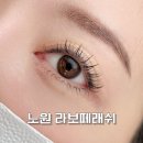 라보떼 | 노원 속눈썹펌 자연스럽게! 펌+포인트연장 라보떼래쉬 후기