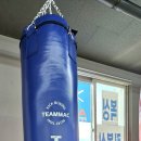 팀맥 스타짐 이미지