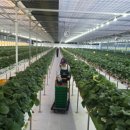 사돈농장 이미지