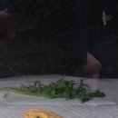 렙타일송
