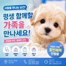 밀양축협동물병원 | 밀양펫샵 선택 기준 모르면 계속 비교만 하게 됩니다
