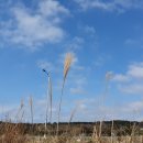 서광서리 이미지