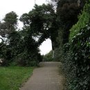 시온상사 이미지