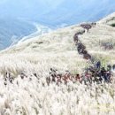 민둥산운동장 2 이미지