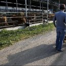 김영란농장 이미지