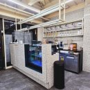 월곡동1 | 월곡동 미용실 오테르헤어 미아점 방문기｜로레알 뿌리염색 &amp; 클린케어 체험 후기