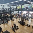 임펄스 짐(IMPULSE GYM) | 가성비 좋은 다낭헬스장 피그짐 Pig Gym 일일권 후기