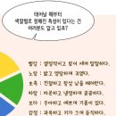 레인보우 팔레트 이미지