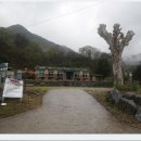 충청도양반길(3코스) 이미지