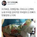 이거봐죠..아랫집개는 우비사서 산책하는데 우리집 강아지만 우비없다고 아빠가 만들었대 이미지