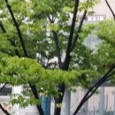 오드리헤어살롱 네이버블로그