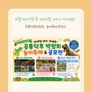 송강종합사회복지관 | 5월 마지막주 대전 아이랑 여기 가세요🦖공룡덕후박람회·초록우산 놀이축제 총정리