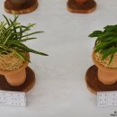 군청 민원실 이미지