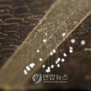 동구청 본관 이미지