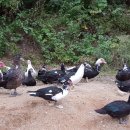 동녁농장 이미지