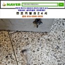 도봉-도봉-서울도봉-2533 이미지