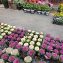 웅지와 나옹이 이미지