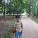 장군뽈따구 이미지