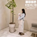 베이비쿠 | 베이비뵨 신생아 아기띠 베이비 캐리어 미니 크림 후기