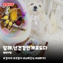 지연이네 강아지 고양이 수제간식 | 강아지수제간식 달래 | 오메가3 듬뿍 촉촉한 열빙어찜 내돈내산 솔직후기