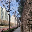 용마산역1번출구 이미지