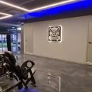 고릴라GYM 이미지