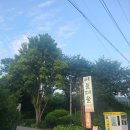 [과천,인덕원/고기] 어울더울 한우안심, 한우갈비살 내돈내산 후기