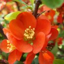 소망공원 이미지