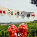 팽성남산4길 네이버블로그