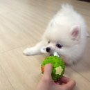 대박이쇼핑