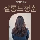 살롱드 청춘 이미지