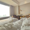 일기 술술,글이 술술 | [일기] 롯데월드 호텔 가격 대비 만족도는? 솔직후기.(+ 룸서비스후기)