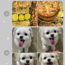 방배천로24길1-11 이미지